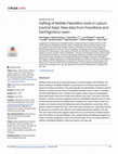 Research paper thumbnail of Hafting of Middle Paleolithic tools in Latium (central Italy): New data from Fossellone and Sant’Agostino caves