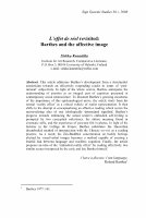 Research paper thumbnail of L'effet de réel Revisited: Barthes and the Affective Image