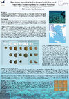 Research paper thumbnail of Plates from a shipwreck of the Late Ottoman Period from the Çanakkale Workshops. pdf