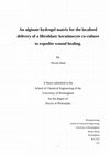 Research paper thumbnail of An alginate hydrogel matrix for the localised delivery of a fibroblast/ keratinocyte co-culture to expedite wound healing