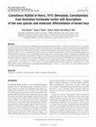 Research paper thumbnail of Camallanus Railliet et Henry, 1915 (Nematoda, Camallanidae) from Australian freshwater turtles with descriptions of two new species and molecular differentiation of known taxa