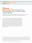 Research paper thumbnail of Agonist-induced dimer dissociation as a macromolecular step in G protein-coupled receptor signaling