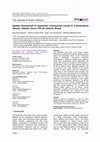 Research paper thumbnail of Spatial Distribution of Hyporheic Chironomid Larvae in a Neotropical Stream, Atlantic forest, Rio de Janeiro, Brazil