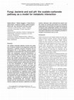 Research paper thumbnail of Fungi, bacteria and soil pH