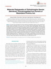 Research paper thumbnail of Molecular Phylogenetics of Trichostrongylus Species (Nematoda: Trichostrongylidae) from Humans of Mazandaran Province, Iran