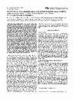 Research paper thumbnail of Remission of oral leukoplakias and micronuclei in tobacco/betel quid chewers treated with beta‐carotene and with beta‐carotene plus vitamin A