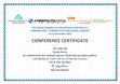 Research paper thumbnail of Cyberpolitics Conference Certificate