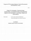 Research paper thumbnail of Immigration, transit and urban transformation : a comparative study of post-apartheid migration and urbanisation in Lubumbashi, Maputo and Johannesburg