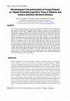 Research paper thumbnail of Morphological characterization of fungal disease on tapped Boswellia papyrifera trees in metema and Humera districts, northern Ethiopia