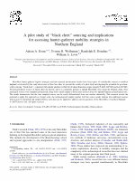 Research paper thumbnail of A pilot study of “black chert” sourcing and implications for assessing hunter-gatherer mobility strategies in Northern England