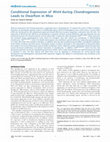 Research paper thumbnail of Conditional Expression of Wnt4 during Chondrogenesis Leads to Dwarfism in Mice