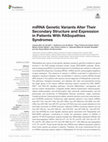 Research paper thumbnail of miRNA Genetic Variants Alter Their Secondary Structure and Expression in Patients With RASopathies Syndromes