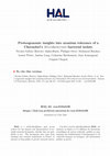 Research paper thumbnail of Proteogenomic insights into uranium tolerance of a Chernobyl's Microbacterium bacterial isolate