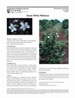 Research paper thumbnail of Kauai White Hibiscus