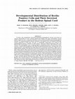 Research paper thumbnail of Developmental distribution of reelin-positive cells and their secreted product in the rodent spinal cord