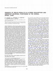 Research paper thumbnail of Absence of Reelin results in altered nociception and aberrant neuronal positioning in the dorsal spinal cord