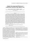 Research paper thumbnail of Unique developmental patterns of GABAergic neurons in rat spinal cord