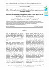 Research paper thumbnail of Effect of the application of CaCO3-based sunburn suppressants on apple fruit quality