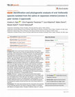 Research paper thumbnail of Identification and phylogenetic analysis of oral Veillonella species isolated from the saliva of Japanese children