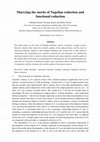 Research paper thumbnail of Marrying the merits of Nagelian reduction and functional reduction