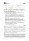 Research paper thumbnail of LncRNA-mRNA Co-Expression Analysis Identifies AL133346.1/CCN2 as Biomarkers in Pediatric B-Cell Acute Lymphoblastic Leukemia