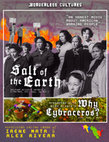 Research paper thumbnail of Cybraceros and Salt of the Earth Syllabus