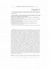 Research paper thumbnail of Caracterización del rendimiento académico de escolares de cuarto de Educación Primaria, España, Capítulo 2