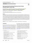 Research paper thumbnail of New human fossil from the latest Pleistocene levels of Grotta Romanelli (Apulia, southern Italy