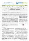 Research paper thumbnail of Detection of Specific Antibody Levels against Photobacterium damselae subsp. piscicida in Sea Bass during Experimental Challenge