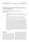 Research paper thumbnail of Feeding ecology of piscivorous brown trout (Salmo trutta L.) in a subarctic watercourse