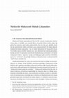 Research paper thumbnail of Türkiye’de Mukayeseli Hukuk Çalışmaları