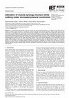 Research paper thumbnail of Alteration of muscle synergy structure while walking under increased postural constraints