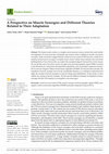 Research paper thumbnail of A Perspective on Muscle Synergies and Different Theories Related to Their Adaptation