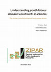 Research paper thumbnail of Understanding Youth Labour Demand Constraints in Zambia: The Mining, Manufacturing and Construction Sectors