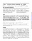 Research paper thumbnail of CLN3L, a novel protein related to the Batten disease protein, is overexpressed in Cln3–/ – mice and in Batten disease