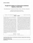 Research paper thumbnail of [Leptine participation in the development of liver steatosis and biliar lithiasis]