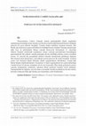 Research paper thumbnail of Nuruosmaniye Camisi Taçkapıları