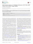 Research paper thumbnail of Draft Genome Sequence of Veillonella tobetsuensis ATCC BAA-2400T Isolated from Human Tongue Biofilm