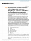 Research paper thumbnail of Suppressor of cytokine signaling-1 mimetic peptides attenuate lymphocyte activation in the MRL/lpr mouse autoimmune model