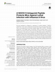 Research paper thumbnail of A SOCS1/3 Antagonist Peptide Protects Mice Against Lethal Infection with Influenza A Virus