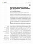 Research paper thumbnail of Neocortical Lamination: Insights from Neuron Types and Evolutionary Precursors