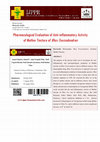 Research paper thumbnail of Pharmacological Evaluation of Anti-inflammatory Activity of Mother Tincture of Rhus Toxicodendron