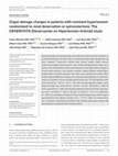 Research paper thumbnail of Organ damage changes in patients with resistant hypertension randomized to renal denervation or spironolactone: The DENERVHTA (Denervación en Hipertensión Arterial) study