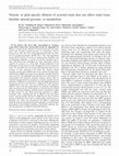 Research paper thumbnail of Neuron-or glial-specific ablation of secreted renin does not affect renal renin, baseline arterial pressure, or metabolism