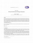 Research paper thumbnail of Hot and Cold Fusion for Energy Generation