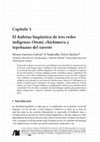 Research paper thumbnail of Capítulo 5 El habitus lingüístico de tres redes indígenas: Otomí, chichimeca y tepehuano del sureste