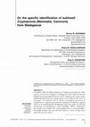 Research paper thumbnail of On the specific identification of subfossil Cryptoprocta (Mammalia, Carnivora) from Madagascar