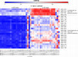 Research paper thumbnail of MOESM7 of Integrated omics approaches provide strategies for rapid erythromycin yield increase in Saccharopolyspora erythraea