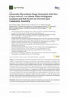 Research paper thumbnail of Arbuscular Mycorrhizal Fungi Associated with Rice (Oryza sativa L.) in Ghana: Effect of Regional Locations and Soil Factors on Diversity and Community Assembly