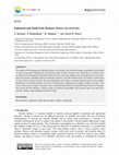 Research paper thumbnail of Industrial and Small-Scale Biomass Dryers: An Overview